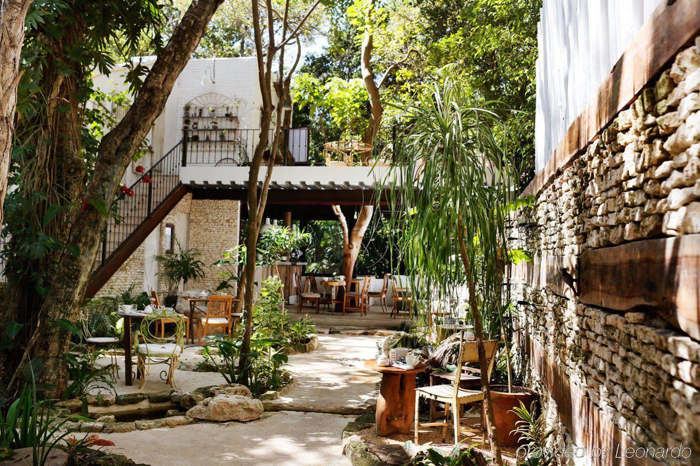 Hotel La Semilla A Member Of Design Hotels (Adults Only) Playa del Carmen Exterior photo